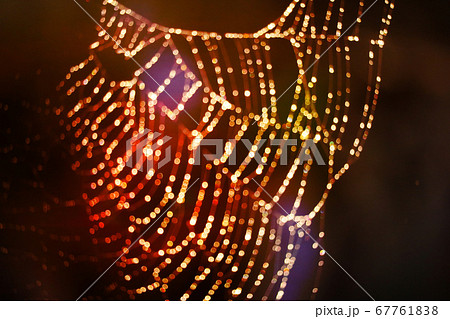 sunset light blur and bokeh abstract and art of 67761838