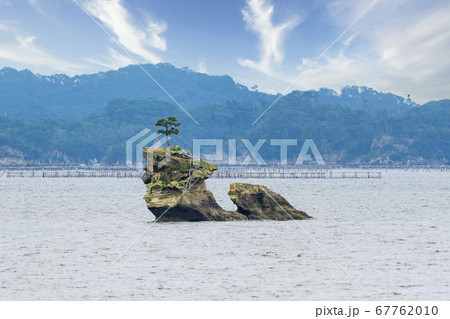 日本三景松島の風景　千貫島　宮城県松島町 67762010