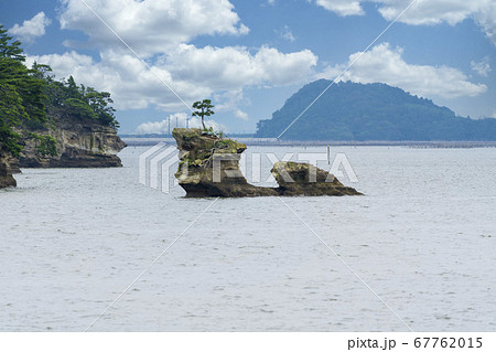 日本三景松島の風景 千貫島 宮城県松島町 日本三景松島の風景 千貫島 宮城県松島町 67762015