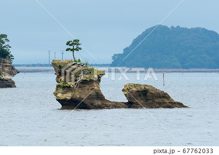 日本三景松島の風景　千貫島　宮城県松島町 67762033