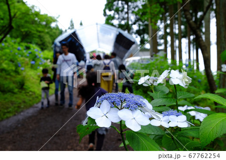 岩手県一関市のみちのくあじさい園の風景の写真素材