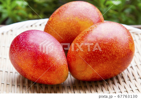 よく熟したアップルマンゴー よく熟したアップルマンゴー 67763130