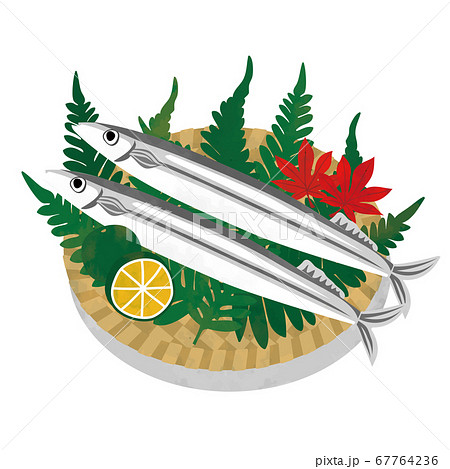 秋の味覚、さんまイラスト素材 67764236