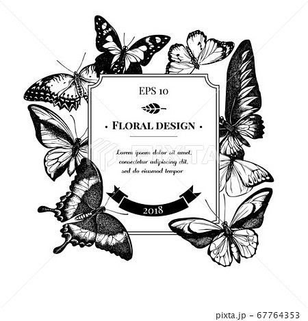 Badge design with black and white red lacewing, wallace's golden birdwing, purple spotted swallowtail, great orange-tip, emerald swallowtail, plain tiger, rajah brooke's birdwing, swallowtail Badge design with black and white red lacewing, wallace's golden birdwing, purple spotted swallowtail, great orange-tip, emerald swallowtail, plain tiger, rajah brooke's birdwing, swallowtail 67764353