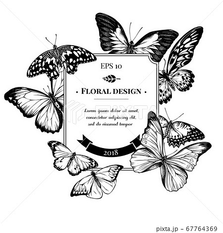 Badge Design With Black And White Blue Emperor のイラスト素材