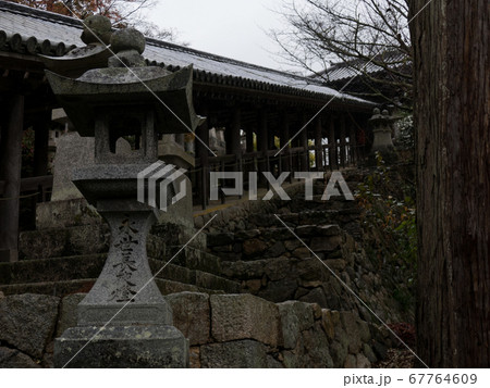 雨の長谷寺 紅葉 雨の長谷寺 紅葉 67764609