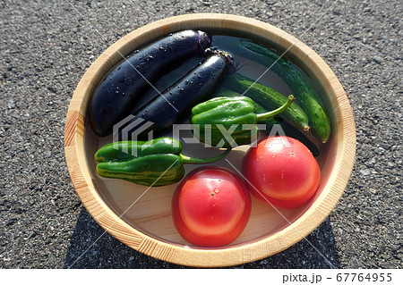 野菜　やさい 67764955