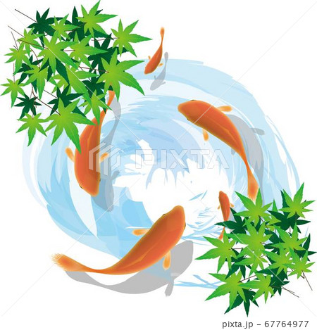 金魚のイラスト素材