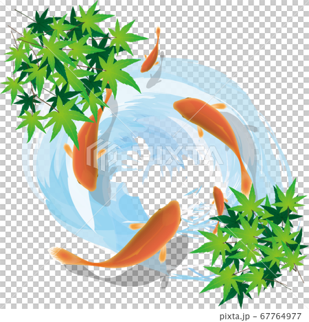 Goldfish Goldfish 67764977