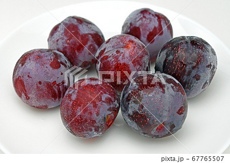 プラム(サンタローザ) プラム(サンタローザ) 67765507