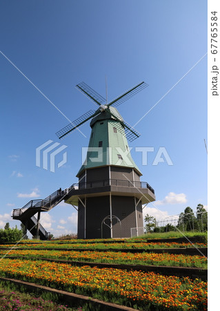 夏の風車 霞ヶ浦総合公園の写真素材