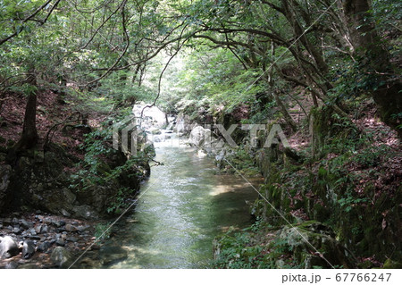 島根県益田市　裏匹見峡の自然 67766247