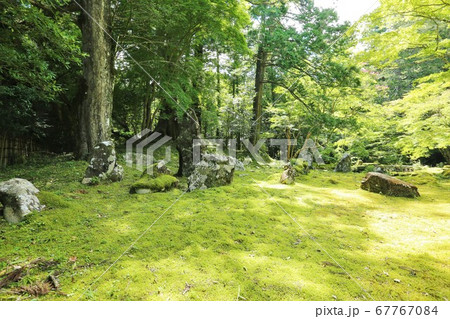 多気北畠氏城館 67767084