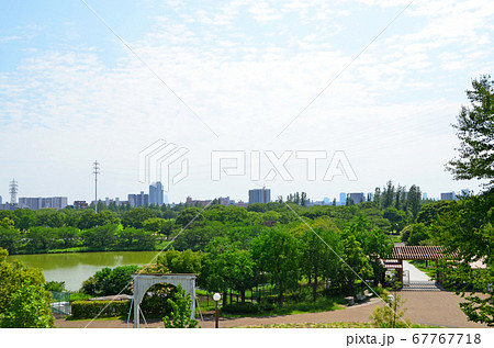 夏の鶴見緑地公園（大阪） 67767718