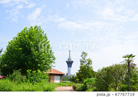 夏の鶴見緑地公園(大阪) 夏の鶴見緑地公園(大阪) 67767719