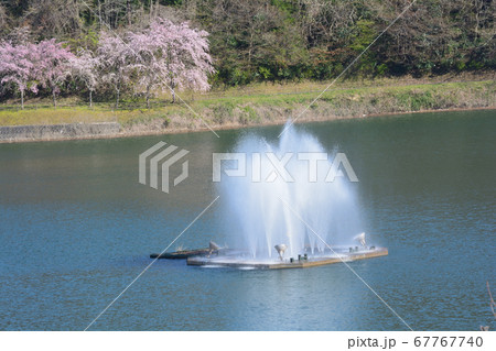 春の十王ダム  #17 春の十王ダム  #17 67767740