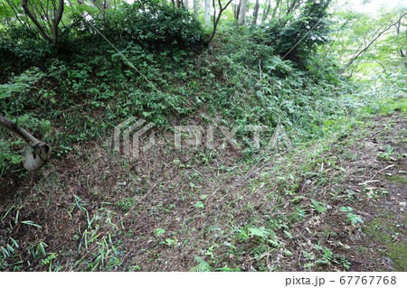 春日山城 春日山城 67767768