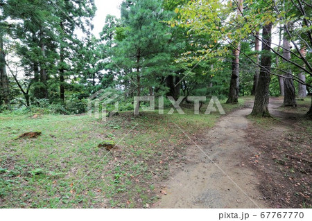 春日山城 67767770