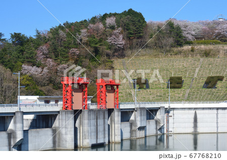 春の十王ダム  #21 春の十王ダム  #21 67768210