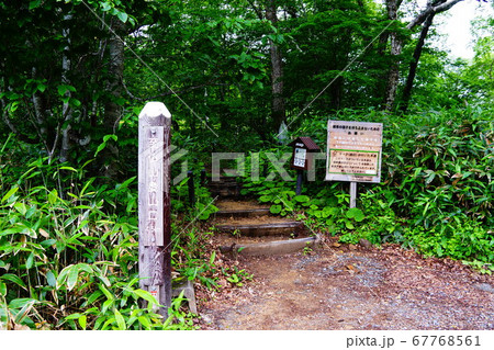 尾瀬　鳩待峠　至仏山への登山口 67768561
