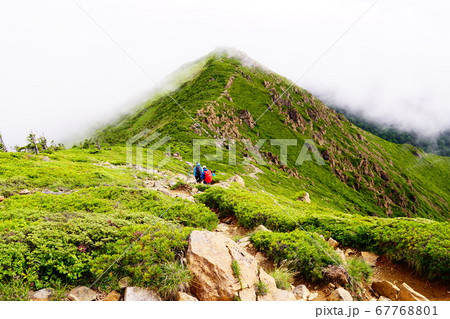 尾瀬 至仏山から小至仏山への道 尾瀬 至仏山から小至仏山への道 67768801