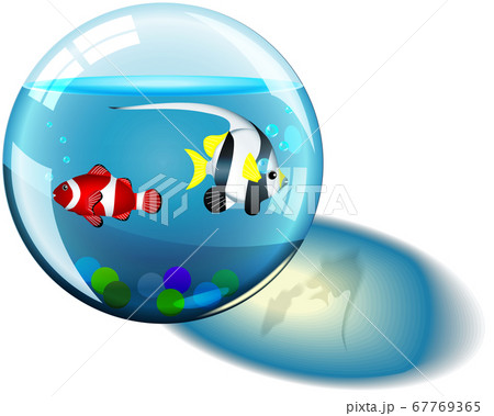 ガラス玉の中の2匹の熱帯魚 67769365