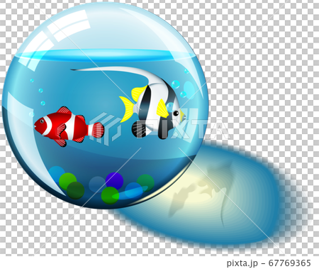 ガラス玉の中の2匹の熱帯魚 67769365