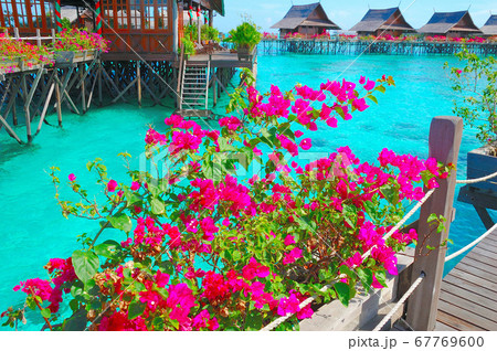 水上コテージ 67769600