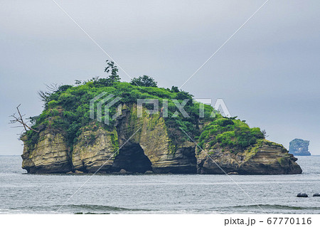 日本三景松島　鐘島（金島）　宮城県塩釜市 67770116