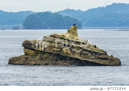 日本三景松島の風景 松島湾に浮かぶ島 宮城県 日本三景松島の風景 松島湾に浮かぶ島 宮城県 67771334