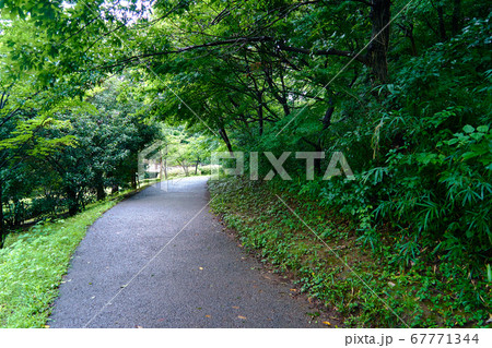 葛ヶ谷公園_No1 葛ヶ谷公園_No1 67771344