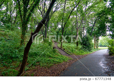 葛ヶ谷公園_No5 67771348