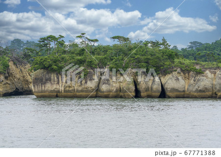 日本三景松島の風景 小藻根島 宮城県塩釜市 日本三景松島の風景 小藻根島 宮城県塩釜市 67771388