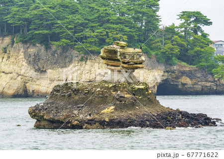 日本三景松島の風景　仁王島　宮城県 67771622