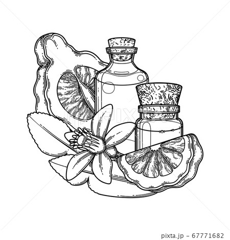 Graphic oil bottles surrounded by bergamot fruits, leaves and flower 67771682
