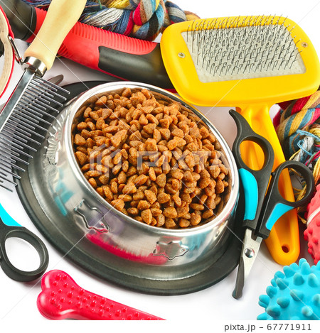 Dry food and supplies for dogs isolated on white 67771911