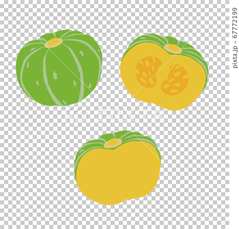 Simple vector illustration of pumpkin Simple vector illustration of pumpkin 67772199