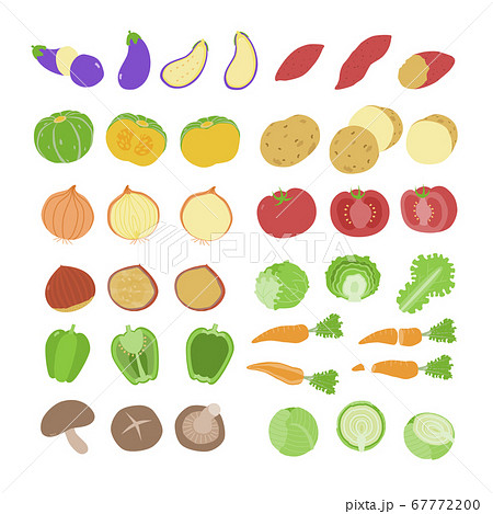 野菜のシンプルなベクターイラストセット 野菜のシンプルなベクターイラストセット 67772200