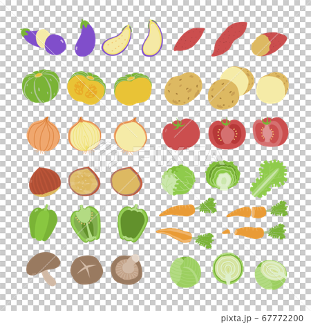 野菜のシンプルなベクターイラストセット 野菜のシンプルなベクターイラストセット 67772200