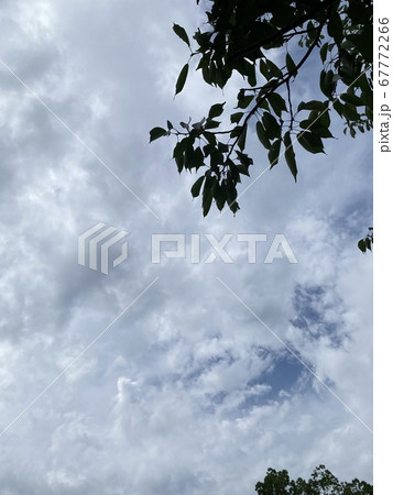 曇り空 67772266