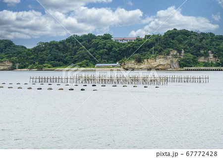 日本三景松島の風景 カキの養殖棚 宮城県松島町 日本三景松島の風景 カキの養殖棚 宮城県松島町 67772428