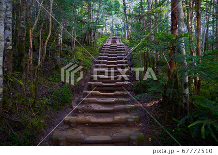 山梨の大弛峠にある山小屋(大弛小屋)から国師ヶ岳への登山道 67772510