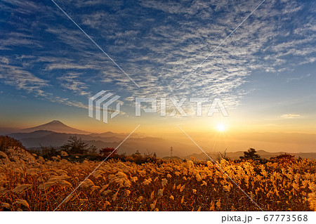 夕暮れの南大菩薩・大蔵高丸のススキと富士山 67773568