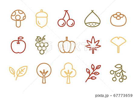 秋のアイコンのセット 食べ物 果物 植物のイラスト素材