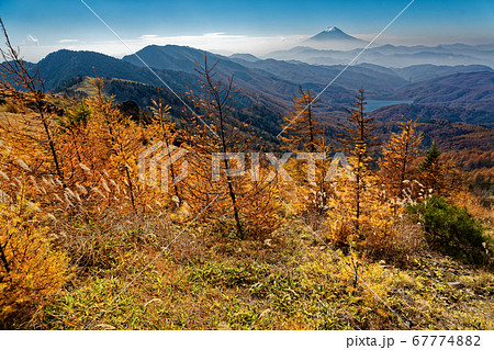 紅葉の大菩薩嶺稜線から見る富士山と大菩薩湖 紅葉の大菩薩嶺稜線から見る富士山と大菩薩湖 67774882