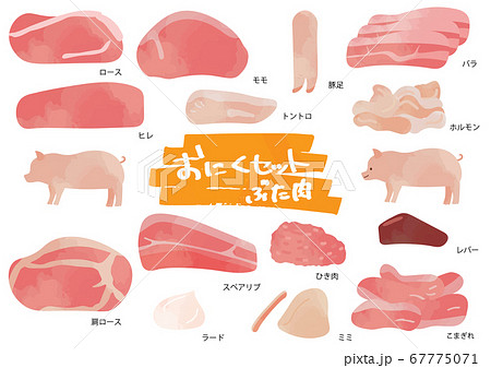 豚肉のイラストセット 67775071