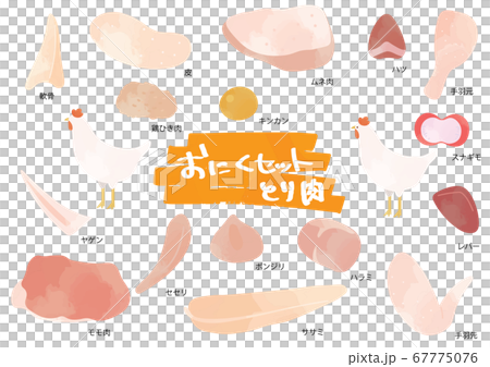 鶏肉のイラストセット 鶏肉のイラストセット 67775076
