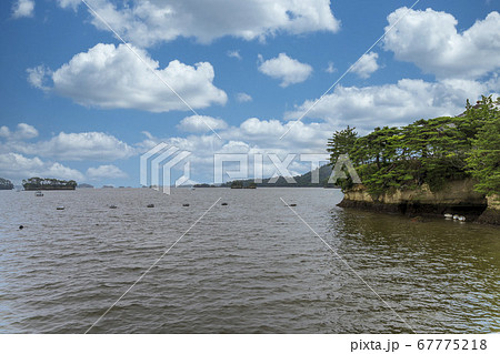 日本三景松島の風景 海岸沿いの島 宮城県松島町 日本三景松島の風景 海岸沿いの島 宮城県松島町 67775218
