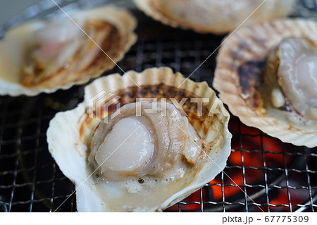 七輪で焼くホタテ 67775309