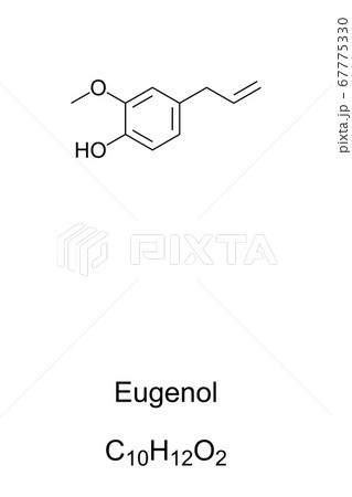 Eugenol, chemical structure and formula. Clove odor. Extracted mainly from clove bud oil and clove leaf oil. Used in perfumes, flavorings and as local antiseptic and anaesthetic. Illustration. Vector. 67775330
